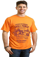 Load image into Gallery viewer, Eagle Power Men's Bamboo Viscose/Organic Cotton Short Sleeve Graphic T-Shirt
