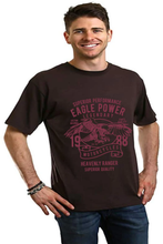Load image into Gallery viewer, Eagle Power Men's Bamboo Viscose/Organic Cotton Short Sleeve Graphic T-Shirt
