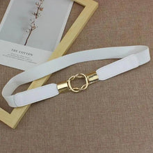 Load image into Gallery viewer, Elegant Wide Fabric Strap  Silver Metal Buckle Belts For Women Trendy Women's Fashion Stretchable Classic Color Belts

