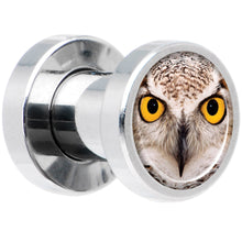 Load image into Gallery viewer, Full Color Owl Steel Screw Fit Plug Set 4G
