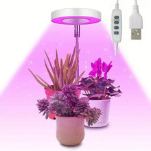 Load image into Gallery viewer, Full Spectrum LED Halo Plant Light With Stand Height Adjustable Auto Timer
