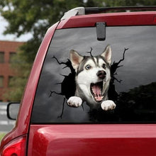 Load image into Gallery viewer, Funny Dog Head In The Crack Vinyl Car Funny Dog Head In The Crack Vinyl Car Stickers Decals Motorcycle Accessories Car-window Decorative Goods Broken Glass Sticker Car Stickers Decals Motorcycle Accessories Car-window Decorative Goods Pvc Car Sticker
