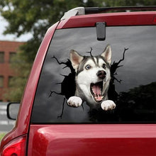 Load image into Gallery viewer, Funny Dog Head In The Crack Vinyl Car Funny Dog Head In The Crack Vinyl Car Stickers Decals Motorcycle Accessories Car-window Decorative Goods Broken Glass Sticker Car Stickers Decals Motorcycle Accessories Car-window Decorative Goods Pvc Car Sticker
