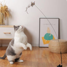 Load image into Gallery viewer, Funny Feather Bird with Bell Cat Stick Toy for Kitten Playing Teaser Wand Toy Cat Supplies Interactive Wiggle Moving Cat Kicker Toy with Plush Interactive Cat Toys Fun Toy For Cat Exercise
