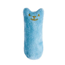 Load image into Gallery viewer, Funny Interactive Pets Chew Bite Supplies for Cat Teeth Grinding Catnip Toys Funny Plush Cat Toy Pet Kitten Chewing Vocal Toy Claws Thumb Bite Cat mint For Cats
