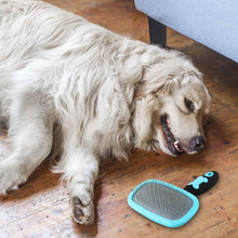 Load image into Gallery viewer, Glendan Dog Brush &amp; Cat Brush - Slicker Pet Grooming Brush
