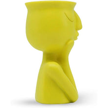Load image into Gallery viewer, Greneric Character Portrait Flower Pot Resin Succulents Plant Pot
