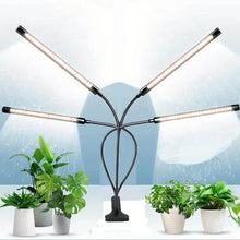 Load image into Gallery viewer, Grow Lights for Seed Starting Auto ON &amp; Off Full Spectrum LED Plant Lights with Timer
