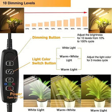 Load image into Gallery viewer, Grow Lights for Seed Starting Auto ON &amp; Off Full Spectrum LED Plant Lights with Timer
