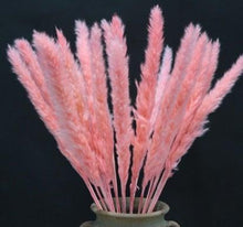 Load image into Gallery viewer, Home Store Wedding Bulrush Natural Dried Flowers Small Pampas Grass Phragmites Communis Decoration for Floor Vase Filler for Living Room Kitchen Decor

