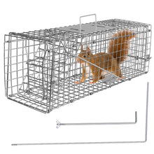 Load image into Gallery viewer, Humane Live Animal Rodent Cage Collapsible Galvanized Wire

