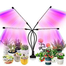 Load image into Gallery viewer, LEOTER Grow Light for Indoor Plants
