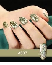 Load image into Gallery viewer, Luxury Modern Crystal Shiny Gel Nail Polish Painting Nails Art Design Diamond Manicure Gel Luxury Design For Women and Girls
