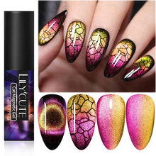 Load image into Gallery viewer, Magnetic Nail Gel Polish UV LED Popular Colorful New Fashion Charming Effect Luxury Drawing Design For Women and Girls
