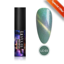 Load image into Gallery viewer, Magnetic Nail Gel Polish UV LED Popular Colorful New Fashion Charming Effect Luxury Drawing Design For Women and Girls
