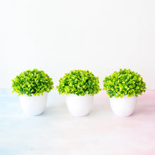 Load image into Gallery viewer, Mini Cute Artificial Bonsai Potted Plastic 15x16cm Friend's Gift Fake Decor  with Plastic Pots Fake Flowers Arrangements for Home Decoration
