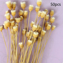 Load image into Gallery viewer, Natural Gypsophila Dried Flowers Mini Babysbreath Flower Preserve Floral  Decor Bouquet Wedding Party Home Backdrop Decor 12cm
