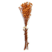 Load image into Gallery viewer, Natural Gypsophila Dried Flowers Mini Babysbreath Flower Preserve Floral  Decor Bouquet Wedding Party Home Backdrop Decor 12cm
