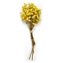 Load image into Gallery viewer, Natural Gypsophila Dried Flowers Mini Babysbreath Flower Preserve Floral  Decor Bouquet Wedding Party Home Backdrop Decor 12cm
