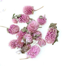 Load image into Gallery viewer, Natural Gypsophila Dried Flowers Mini Babysbreath Flower Preserve Floral  Decor Bouquet Wedding Party Home Backdrop Decor 12cm
