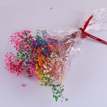 Load image into Gallery viewer, Natural Gypsophila Dried Flowers Mini Babysbreath Flower Preserve Floral  Decor Bouquet Wedding Party Home Backdrop Decor 12cm
