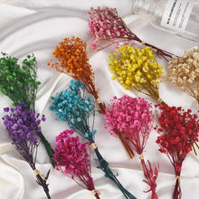 Load image into Gallery viewer, Natural Gypsophila Dried Flowers Mini Babysbreath Flower Preserve Floral  Decor Bouquet Wedding Party Home Backdrop Decor 12cm
