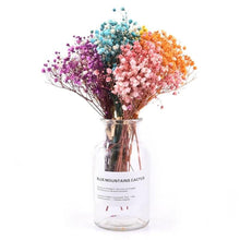 Load image into Gallery viewer, Natural Gypsophila Dried Flowers Mini Babysbreath Flower Preserve Floral  Decor Bouquet Wedding Party Home Backdrop Decor 12cm
