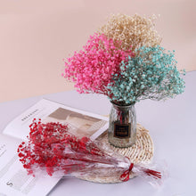 Load image into Gallery viewer, Natural Gypsophila Dried Flowers Mini Babysbreath Flower Preserve Floral  Decor Bouquet Wedding Party Home Backdrop Decor 12cm
