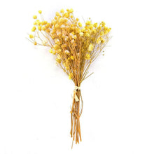 Load image into Gallery viewer, Natural Gypsophila Dried Flowers Mini Babysbreath Flower Preserve Floral  Decor Bouquet Wedding Party Home Backdrop Decor 12cm
