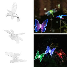 Load image into Gallery viewer, New Decorative Solar Outdoor Lights
