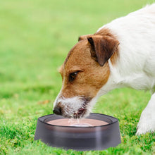 Load image into Gallery viewer, No Spill Dog Cat Water Bowl Spill Proof Slow Water Feeder
