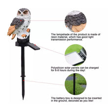 Load image into Gallery viewer, Owl Solar LED Lights with Decorative Stake
