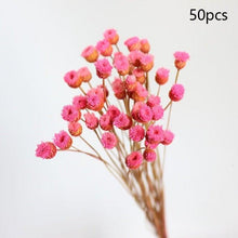 Load image into Gallery viewer, Natural Gypsophila Dried Flowers Mini Babysbreath Flower Preserve Floral  Decor Bouquet Wedding Party Home Backdrop Decor 12cm
