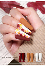 Load image into Gallery viewer, Luxury Modern  New Popular Womens Gel Nail Polish Permanent Varnish 10ml Elegant Fashion Design Nail Polish For Women and Girls
