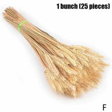 Load image into Gallery viewer, Real Dried Grass Reed Flower Natural Dry Small Bulrush Bouquet Pampas Reeds Home Decoration Wedding Decor Pompass Grass Branches for Vase Artificial Grass Room Décor Wedding Decorations
