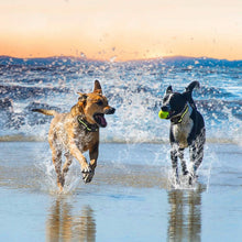 Load image into Gallery viewer, Rechargeable Waterproof Beep Vibration Static Stimulation Bark Stopper
