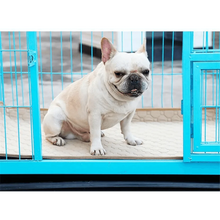 Load image into Gallery viewer, Reuseable Dog Pee Pads Dog Diapers Puppy Waterproof Mat For Pets - Washable Training Pads for Dogs Cats Rabbit
