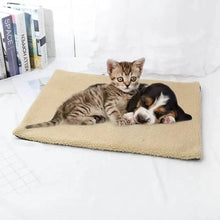 Load image into Gallery viewer, Self Heating Pet Mat
