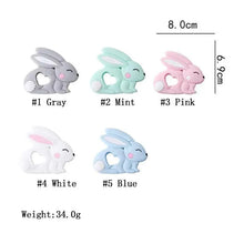 Load image into Gallery viewer, Silicone Teether Rodent Cartoon Animals 1pc Food Grade Silicone Pandents,  Teething Toys For Teeth Tiny Rod Baby Teethers Gift
