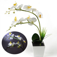 Load image into Gallery viewer, Simulation Lifelike Simple Potted Decor Artificial Bonsai Pine Tree Decorative Bonsai Ornaments Fake Gift Artificial Accessories Fake Flowers Arrangements for Home Decoration

