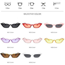 Load image into Gallery viewer, Small Leopard Cateye Design Women Sunglasses Vintage Glasses For Women Summer UV Eyewear Protection Eye Catching Cool Sunglasses For Women Goggles Plastic Frame
