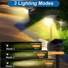 Load image into Gallery viewer, Solar Spot Lights and Solar Motion Sensor Spotlights
