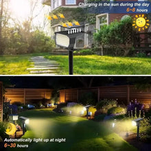 Load image into Gallery viewer, Solar Spot Lights and Solar Motion Sensor Spotlights
