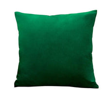 Load image into Gallery viewer, Super Soft Cushion Cover Velvet Pillow Cover Living Room Velvet Decorative Throw Pillow Covers Soft Solid Square Cushion Case For Couch Home Decorative Pillows
