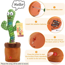 Load image into Gallery viewer, Talking Dancing Cactus
