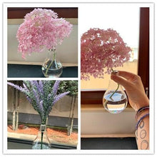 Load image into Gallery viewer, Transparent Glass Bulb Lamp Shape Flower Water Plant Hanging Vase Hydroponic Container Pot For Home Wedding Decoration for Wedding Living Room, Office Party Gift Vase
