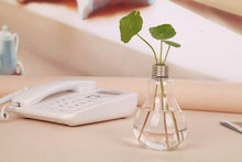 Load image into Gallery viewer, Transparent Glass Bulb Lamp Shape Flower Water Plant Hanging Vase Hydroponic Container Pot For Home Wedding Decoration for Wedding Living Room, Office Party Gift Vase
