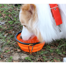 Load image into Gallery viewer, Universal Colorful Collapsible Silicone Dog Food Water Bowl Foldable Cup Dish For Pet Portable Travel Bowl For Dog

