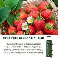 Load image into Gallery viewer, Upside Down Tomato Grow Bag
