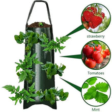 Load image into Gallery viewer, Upside Down Tomato Grow Bag
